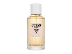 Guess 100ml originals red currant & balsam, parfémovaná voda