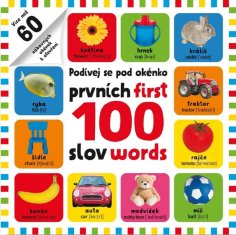 kolektiv autorů: Prvních 100 slov / First 100 words - Podívej se pod obrázek