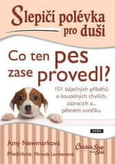 Práh Slepičí polévka pro duši - Co ten pes zase provedl?