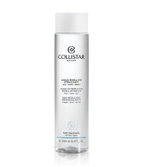 Odličovací micelární voda (Make-Up Removing Micellar Water) 250 ml