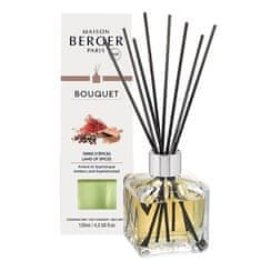 Maison Berger Paris Aroma difuzér Cube Země koření Land of Spices 125 ml