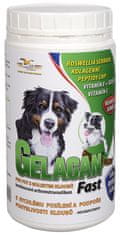 Gelacan Fast 500 g