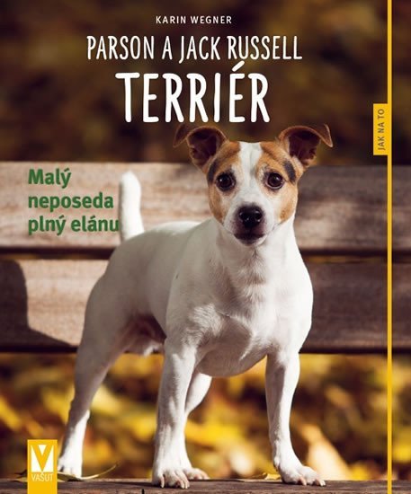 Vašut Parson a Jack Russell teriér - Malý neposeda plný elánu