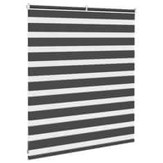 Vidaxl Zebra roleta černá 120x100 cm šířka látky 115,9 cm polyester