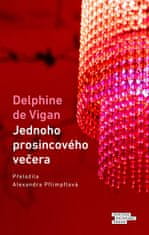 de Vigan Delphine: Jednoho prosincového večera