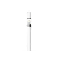 Apple Pencil 1GEN + USB-C adapter