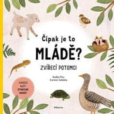 Píro Radka: Čípak je to mládě? Zvířecí potomci