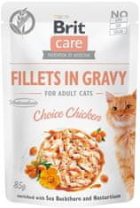 Brit Kapsička Care Cat kuře, filety v omáčce 85g