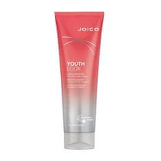 JOICO Kondicionér pro zralé vlasy YouthLock (Conditioner) (Objem 250 ml)