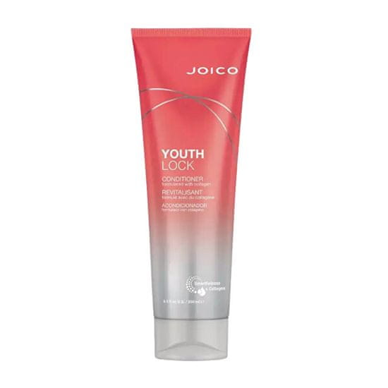 JOICO Kondicionér pro zralé vlasy YouthLock (Conditioner)