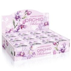 Bartek Parfemovaná svíčka ve skle ORCHID Phalaenopsis 115g