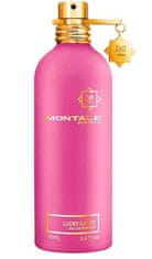 Montale Paris Lucky Candy - EDP 100 ml