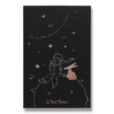 Moleskine Zápisník Le Petit Prince - tvrdé desky L, linkovaný, sběratelská edice