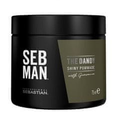 Seb Man Pomáda na vlasy The Dandy (Shiny Pommade) 75 ml