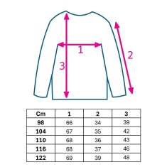 NEW BABY Dětské bavlněné tričko s dlouhým rukávem Kindergarten iceberg 98 (2-3r) Dle obrázku