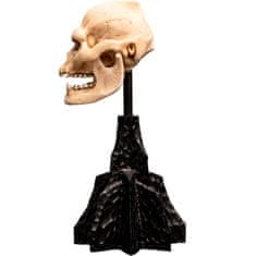 Weta Workshop Weta Workshop Lord of the Rings - Skull of Lurtz Minuature - 15 cm