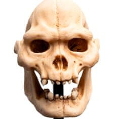 Weta Workshop Weta Workshop Lord of the Rings - Skull of Lurtz Minuature - 15 cm