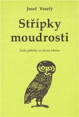 Vodnář Střípky moudrosti: Další příběhy ze života Mistra