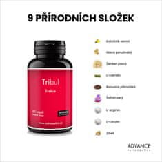 Advance nutraceutics Tribul 60 kapslí