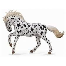 Mac Toys COLLECTA Knabstrupper Mare - Černý leopard