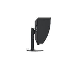 Eizo LED monitor CG2420