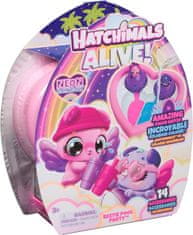 Spin Master Hatchimals Bazénová Párty Zvířátek