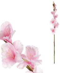 ATAN Gladiola světle růžová KT7300 PINK2