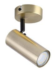 Intesi Nástěnné svítidlo Colly brass 1x15W GU10 stínidlo brass