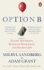 Sandbergová Sheryl: Option B : Facing Adversity, Building Resilience, and Finding Joy