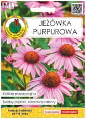 Conceptum Hypnose Semena třapatky nachové 1g Zimolez a léčivá rostlina