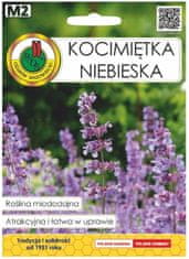 Conceptum Hypnose Catnip blue seed 0,5g Okrasná rostlina užitečná pro včely