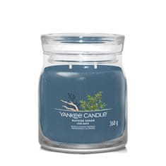 Yankee Candle Aromatická svíčka Signature sklo střední Bayside Cedar 368 g