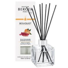 Maison Berger Paris Aroma difuzér Cube Zářivá rebarbora Rhubarb Radiance 125 ml