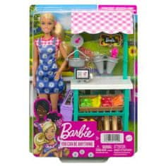 Mattel Mattel Barbie You can be Anything - farmářský stánek s panekou