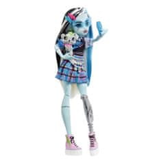 Mattel Mattel Monster High Panenka Monsterka FRANKIE STEIN