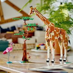 LEGO LEGO Creator 31150 Divoká zvířata ze safari