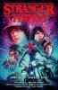 Jody Houser: Stranger Things Omnibus Volume 1 (graphic Novel)