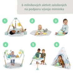 Ingenuity Aktivní centrum 6v1 Tummy to Toes Milestones 0m+