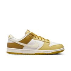 Nike Boty Dunk Low Retro FZ4042716