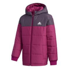 Adidas Bundy univerzálni višňové XL GM5611