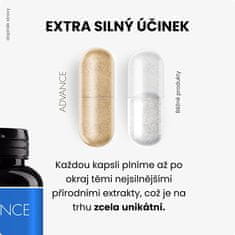 Advance nutraceutics BrainActive 60 kapslí