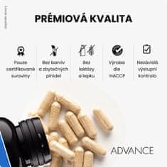 Advance nutraceutics BrainActive 60 kapslí