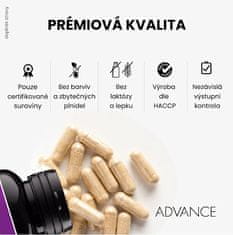 Advance nutraceutics Diaben 60 kapslí