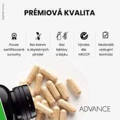 Advance nutraceutics Probiozym 60 kapslí