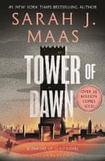 Sarah J. Maasová: Tower of Dawn