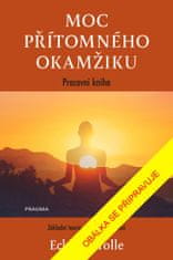 Tolle Eckhart: Moc přítomného okamžiku – pracovní kniha