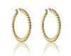 Marc Malone Pozlacené kruhy Hannah Gold Earrings MCE23016G