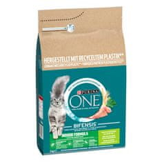 Purina ONE INDOOR krůta 3 kg