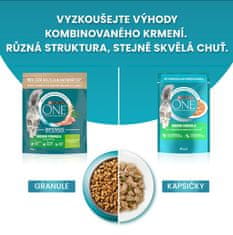 Purina ONE INDOOR krůta 3 kg