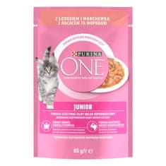 Purina ONE JUNIOR losos ve šťávě 26×85 g